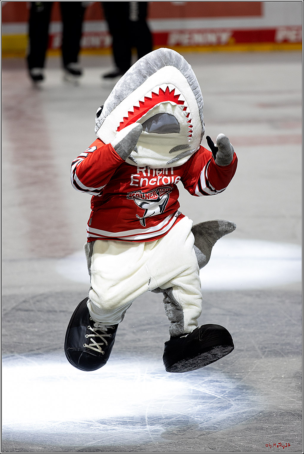 PENNY DEL;  Kölner Haie - Adler Mannheim; Köln, 04.11.2022